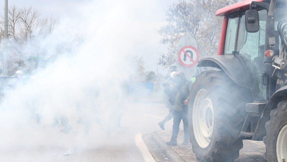 agrotes - mat - thessaloniki 12-2025
